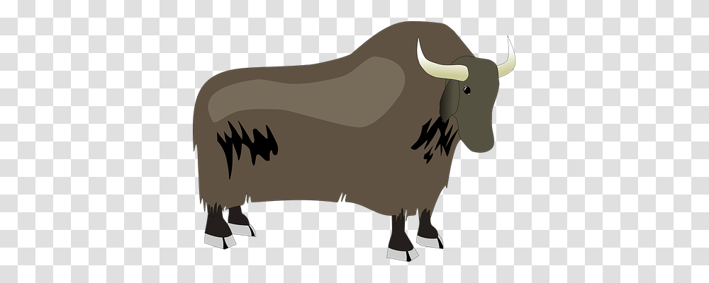Bison Animals, Mammal, Bull, Cattle Transparent Png