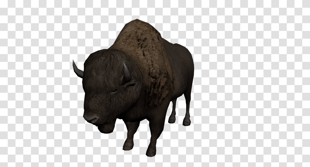 Bison, Animals, Mammal, Bull, Wildlife Transparent Png