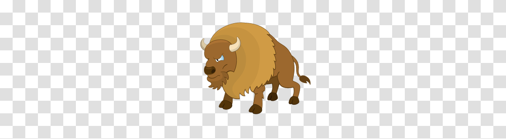 Bison, Animals, Mammal, Wildlife, Buffalo Transparent Png