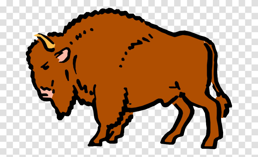 Bison, Animals, Mammal, Wildlife, Cow Transparent Png