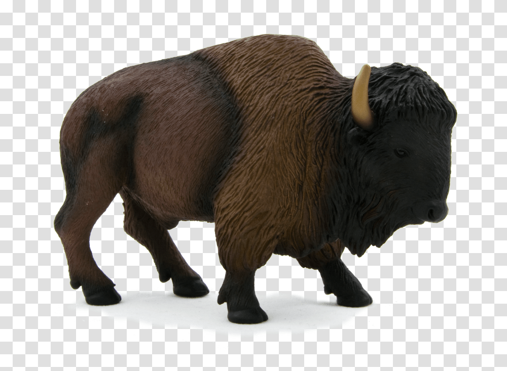 Bison, Animals, Wildlife, Mammal, Buffalo Transparent Png