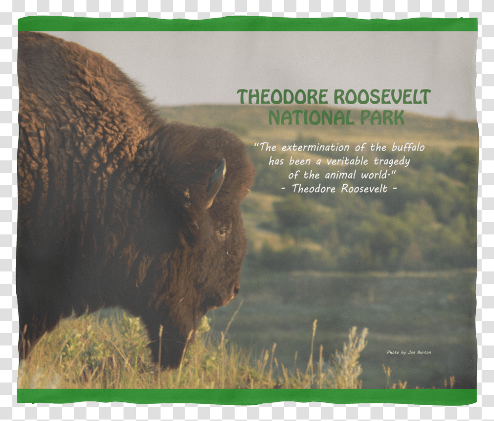 Bison Fleece Blanket Grass, Wildlife, Mammal, Animal, Buffalo Transparent Png