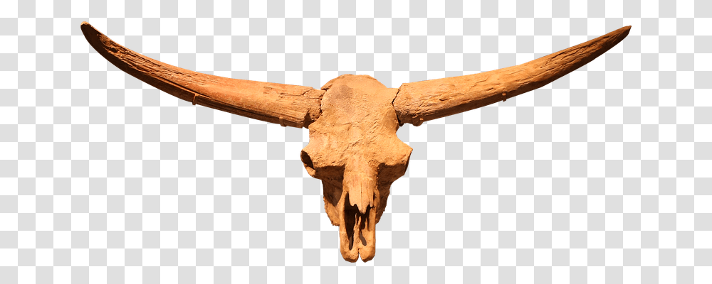 Bison Latifrons Technology, Axe, Tool, Wood Transparent Png