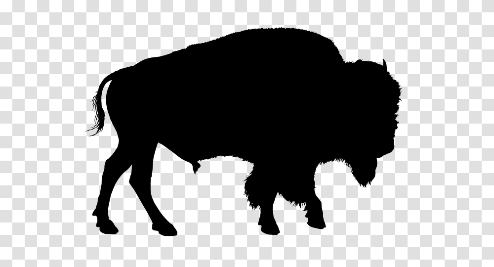 Bison Silhouette Buffalo Animal Photos Farm And Forest, Nature, Outdoors, Outer Space, Astronomy Transparent Png