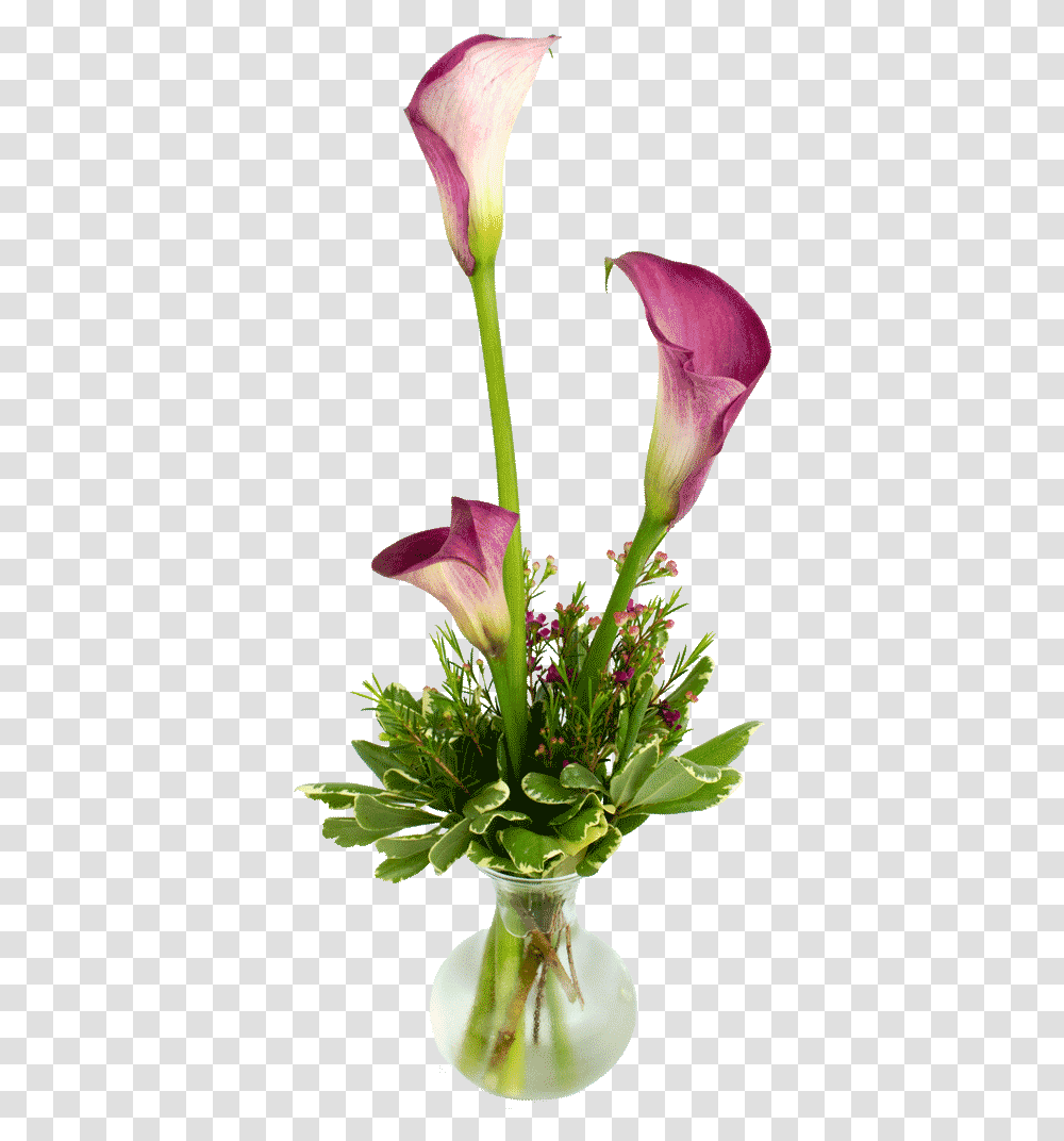 Bistro Lilies Perfect To Flower Vase For Restaurant Table, Plant, Blossom, Jar, Pottery Transparent Png