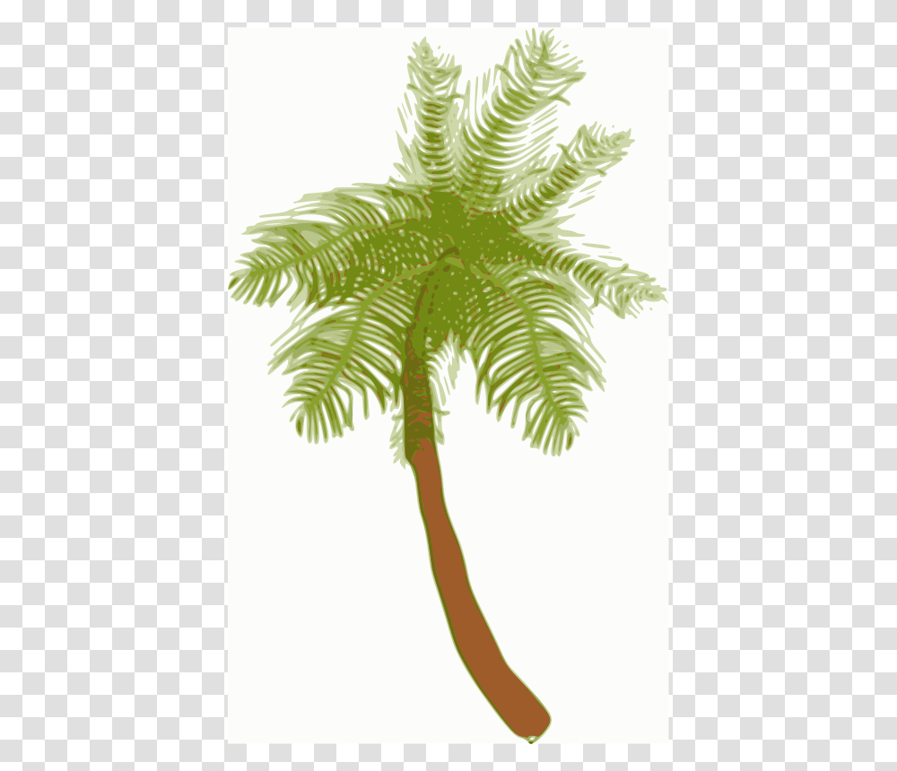 Biswajyotim Coconut Tree, Nature, Plant, Palm Tree, Arecaceae Transparent Png