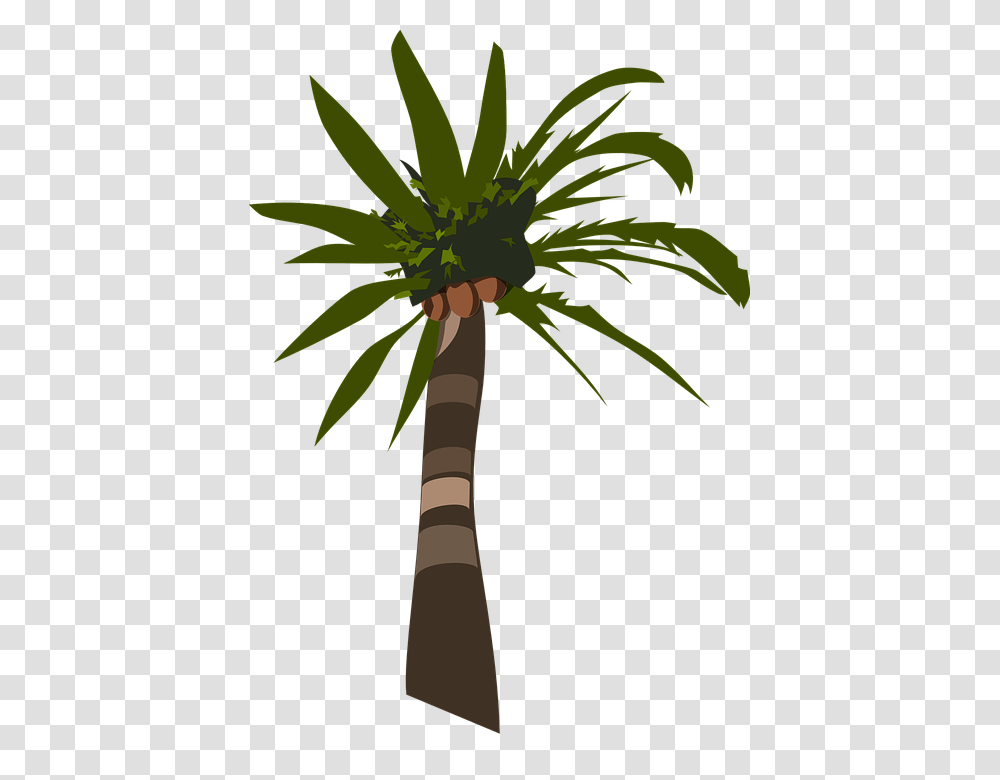 Bit Palm Tree For Free Download On Ya Webdesign, Plant, Arecaceae Transparent Png