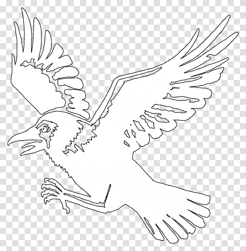 Bit Raven Logo Hawk, Flying, Bird, Animal, Magpie Transparent Png