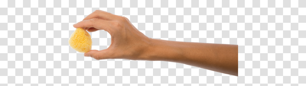 Bitter Orange, Hand, Wrist, Arm, Person Transparent Png