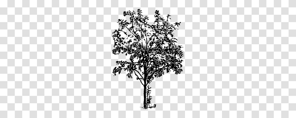 Black Nature, Paper, Confetti, Plant Transparent Png