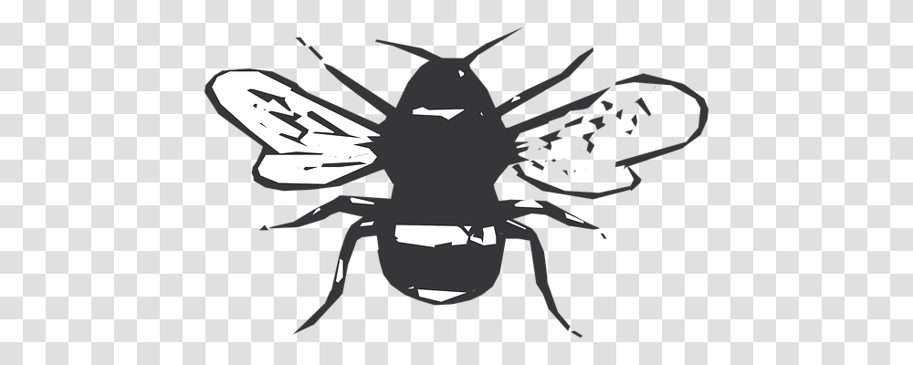 Black Animals, Stencil, Wasp, Bee Transparent Png