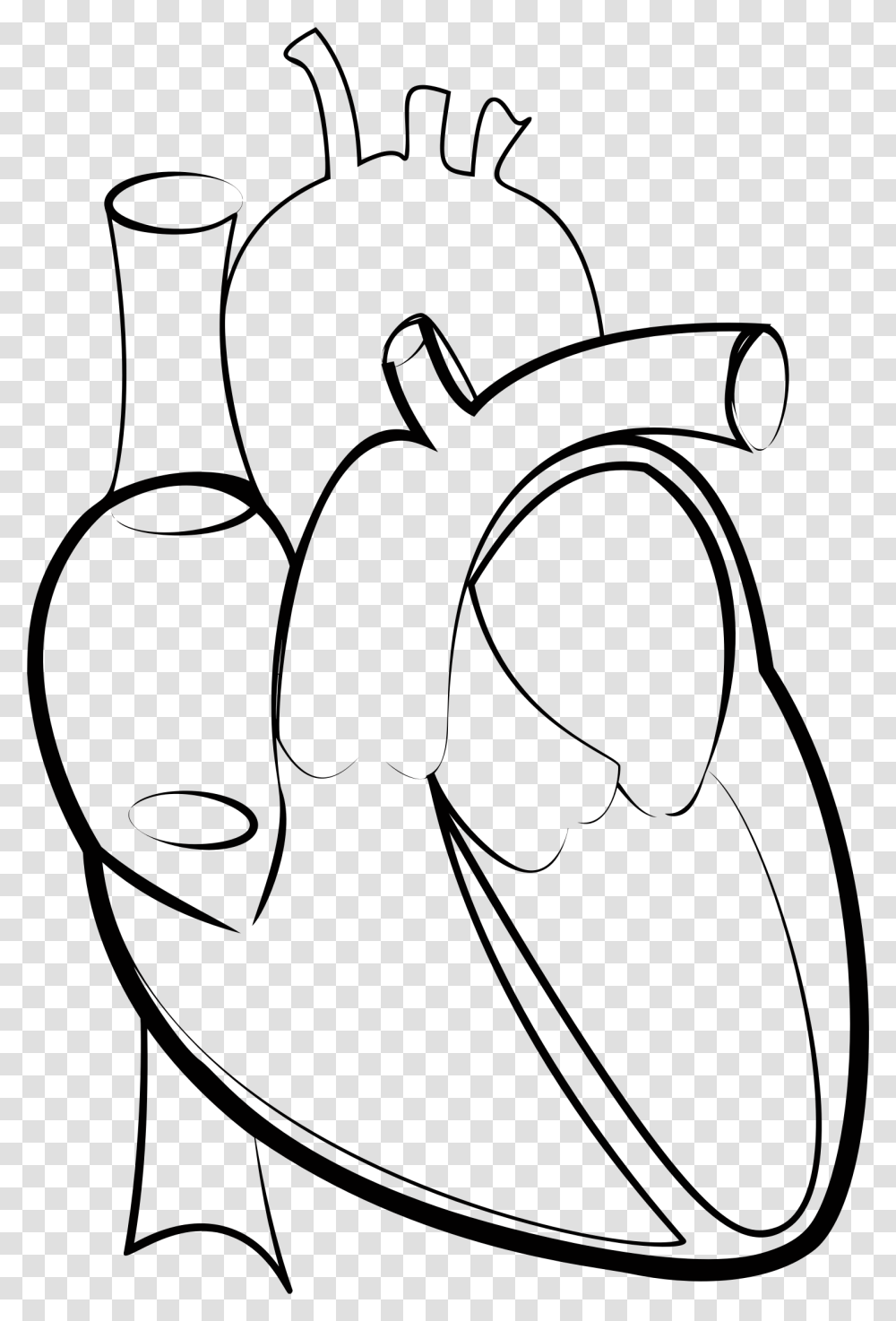 Black Amp White Line Drawing Of Two Love Heart Shapes Outline Images Of Human Heart, Face, Gray Transparent Png