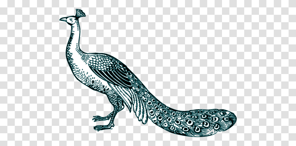 Black And Teal Peacock Clip Art, Bird, Animal, Sock, Shoe Transparent Png