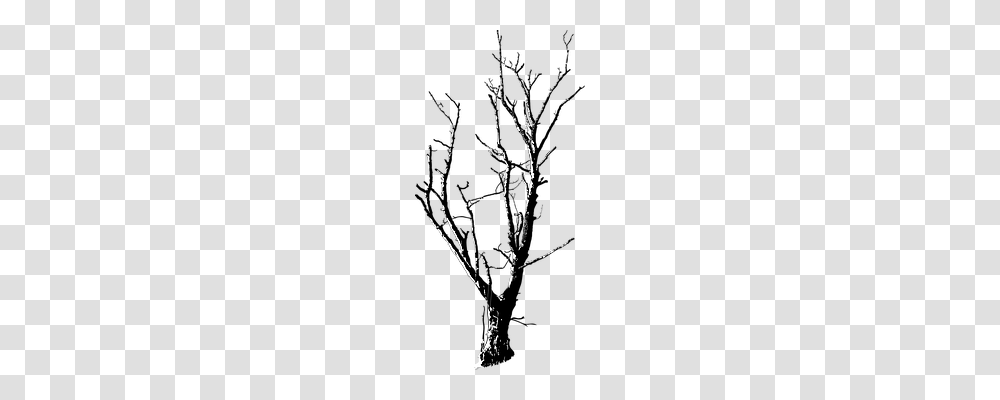 Black And White Nature, Ice, Outdoors, Plant Transparent Png