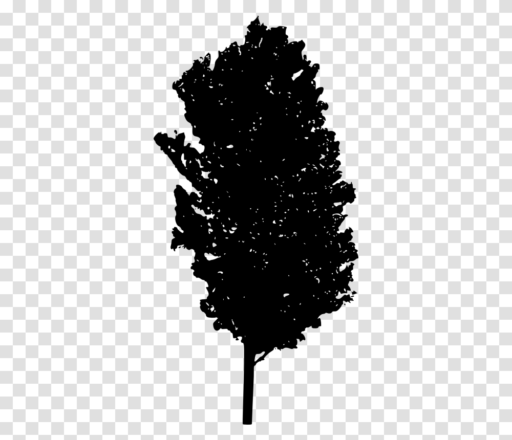 Black And White Acorn Tree, Gray, World Of Warcraft Transparent Png