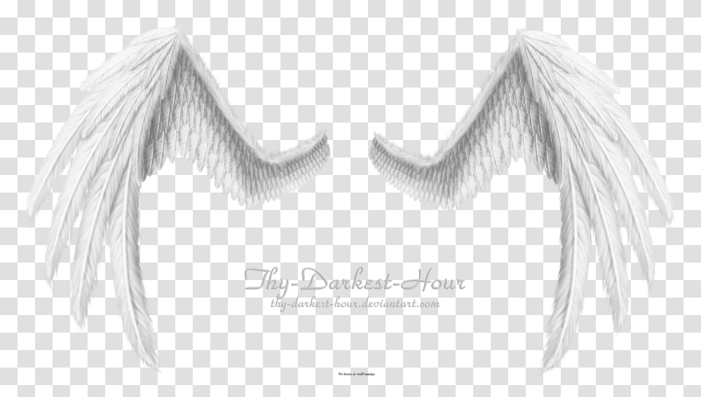 Black And White Angel Wings Wings For Photoshop, Bird, Animal, Paper Transparent Png