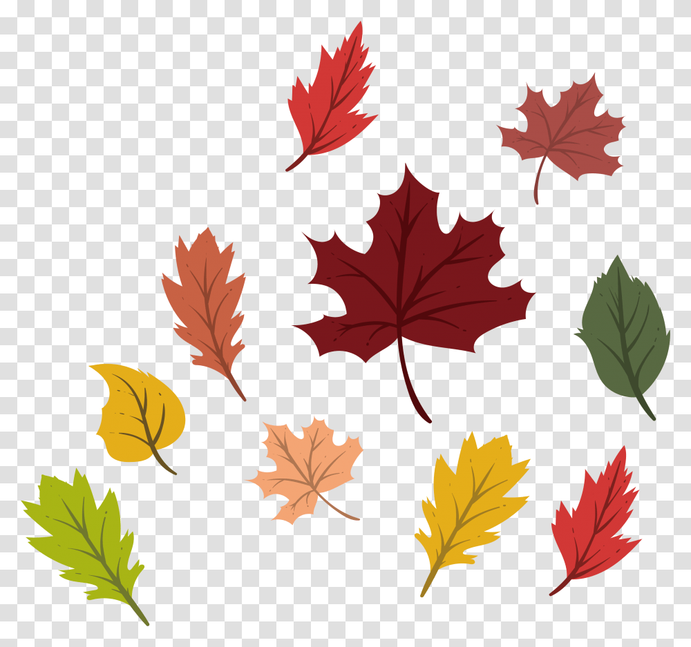 Black And White Autumn Vector Colorful Leave Leaf Autumn Vector, Plant, Tree, Maple, Maple Leaf Transparent Png