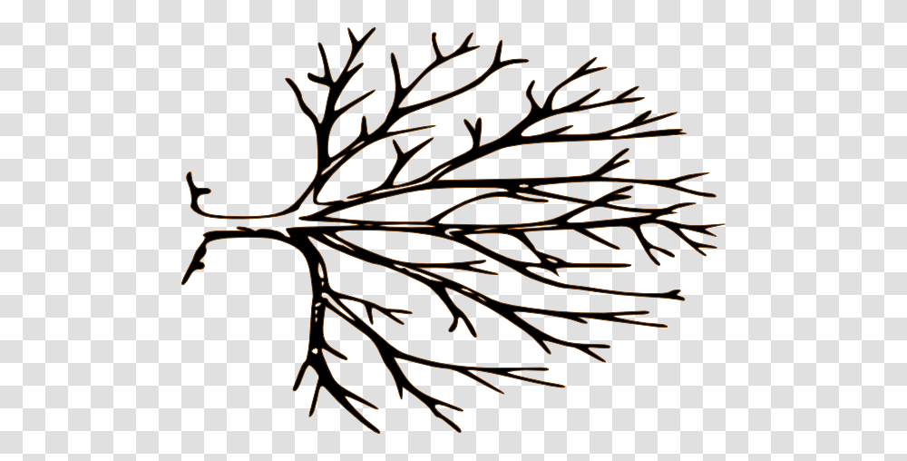 Black And White Bare Tree Clipart, Leaf, Plant, Root, Stencil Transparent Png