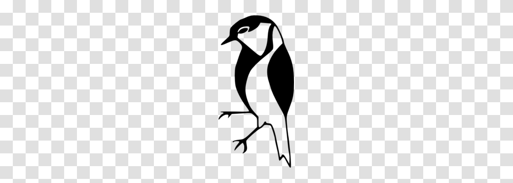 Black And White Bird Clip Art, Gray, World Of Warcraft Transparent Png