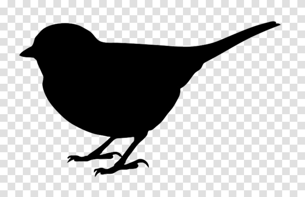 Black And White Bird Outline Hot Trending Now, Animal, Blackbird, Agelaius, Silhouette Transparent Png