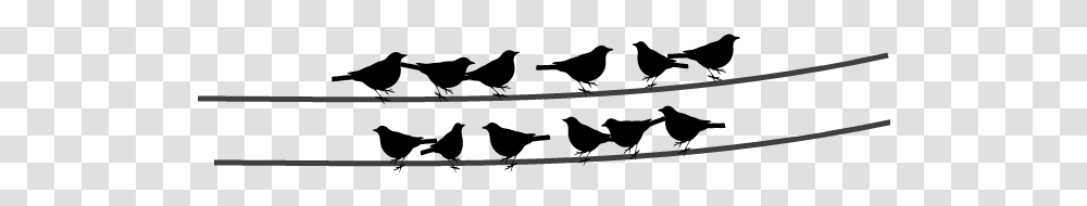 Black And White Bird, Weapon, Weaponry, Sword, Blade Transparent Png