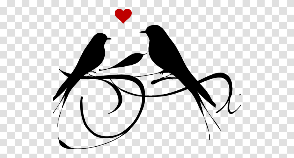 Black And White Birds Clipart, Bicycle, Vehicle, Transportation, Bike Transparent Png