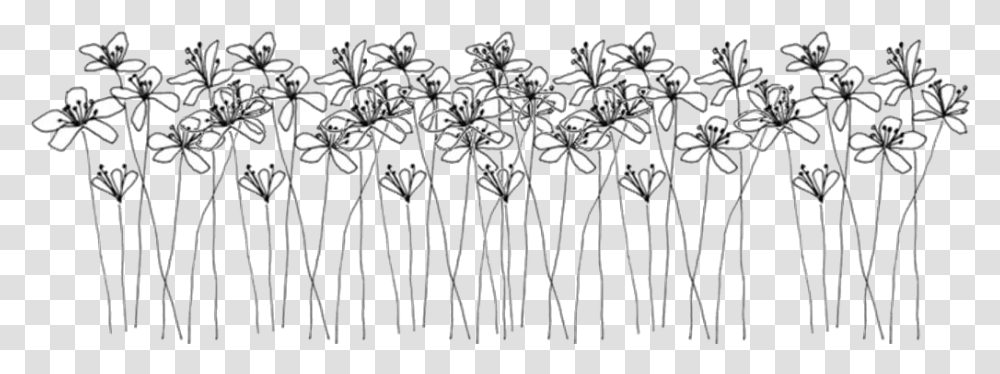 Black And White Black And White Flowers Drawing, Plant, Blossom, Petal, Pattern Transparent Png