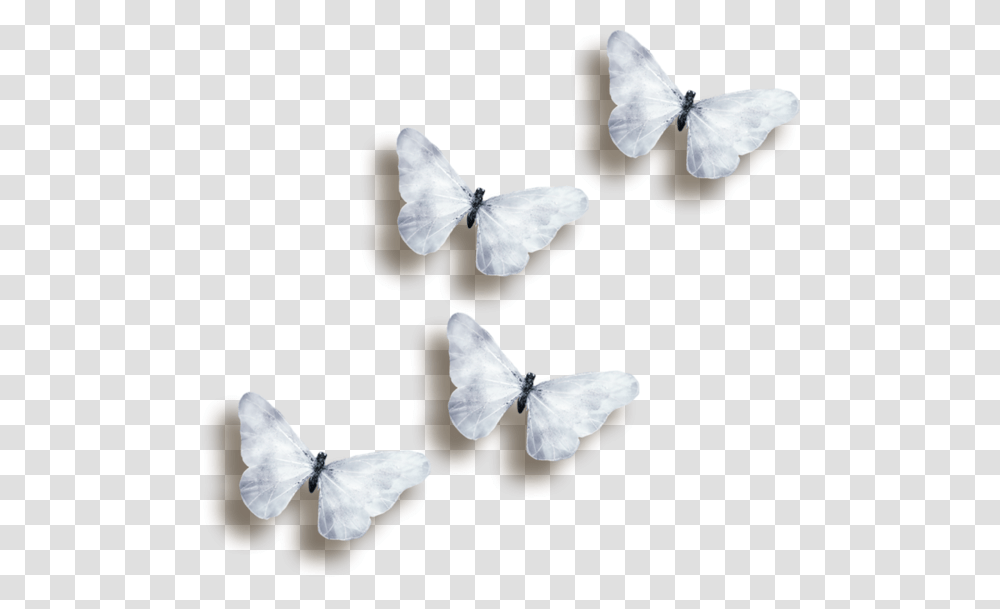 Black And White Butterfly Background Butterflies, Plant, Petal, Flower, Insect Transparent Png