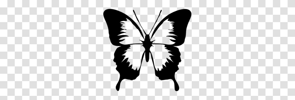 Black And White Butterfly Clip Art, Insect, Invertebrate, Animal, Stencil Transparent Png