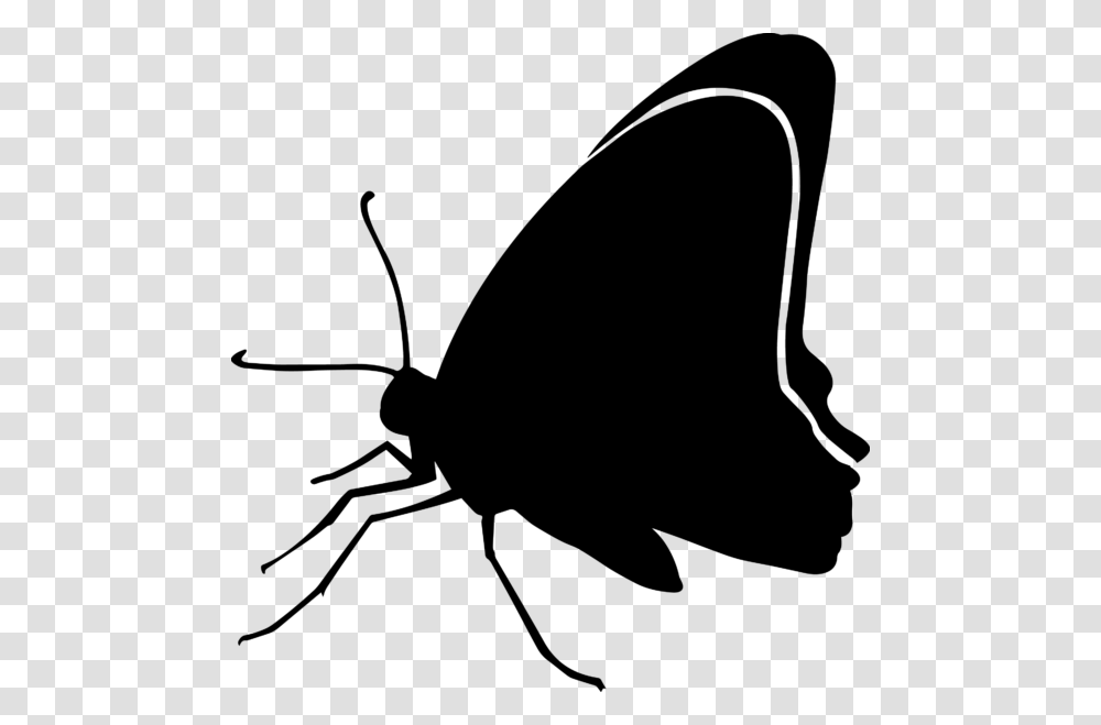 Black And White Butterfly, Gray, World Of Warcraft Transparent Png