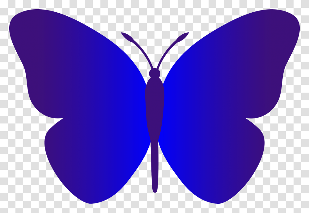 Black And White Butterfly Outline Butterfly Simple Blue Cartoon, Ornament, Pattern, Balloon, Fractal Transparent Png