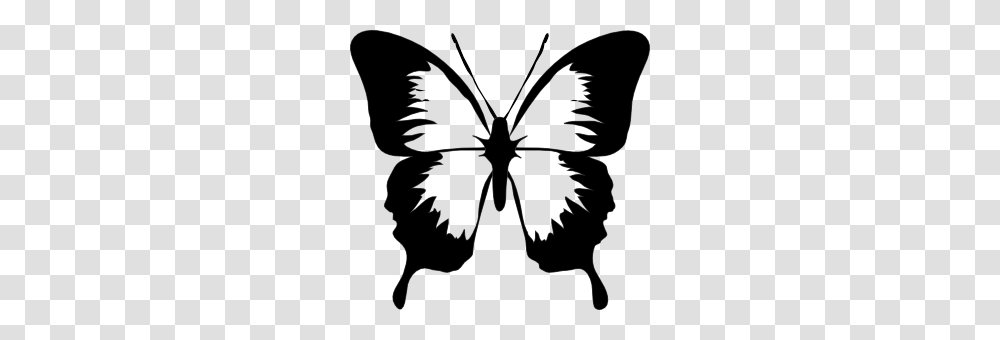 Black And White Butterfly Tattoos For Women Butterfly Clip Art, Stencil, Bow, Silhouette Transparent Png