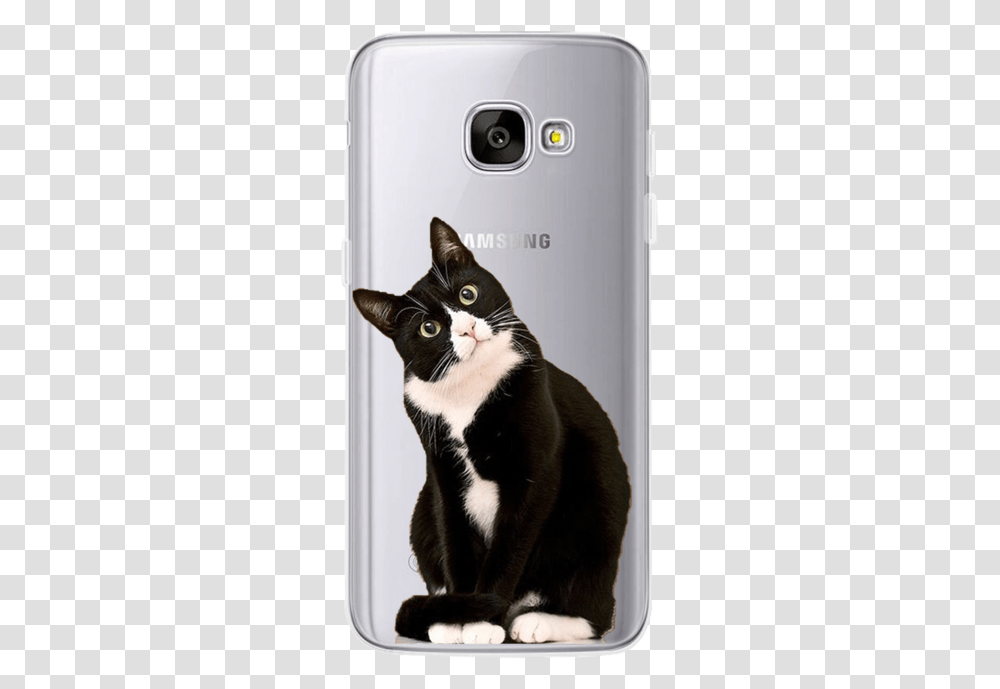 Black And White Cat Iphone X Case, Pet, Mammal, Animal, Black Cat Transparent Png