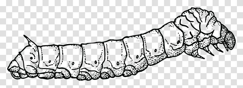 Black And White Caterpillar Silkworm Black And White, Animal, Outdoors, Vegetation, Reptile Transparent Png