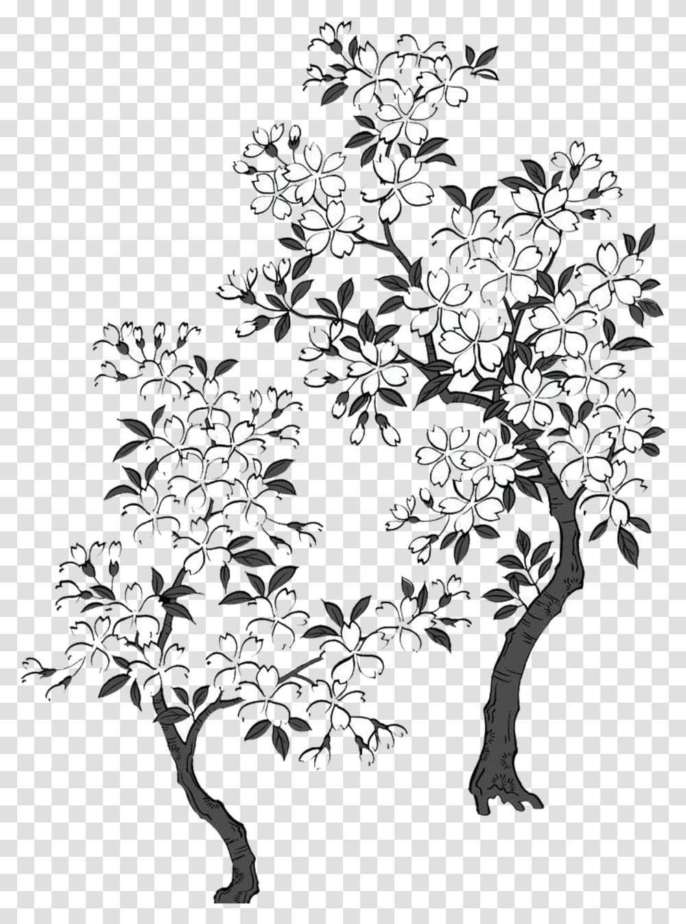 Black And White Cherry Blossom Black And White Sakura Tree, Floral Design, Pattern Transparent Png