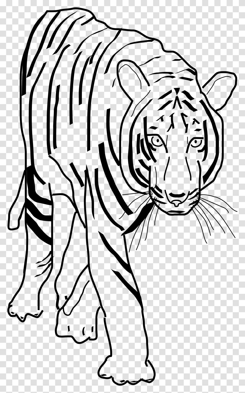 Black And White Clipart Best Beobbf Clipart Anonymous Tiger Clipart Black And White, Gray, World Of Warcraft Transparent Png