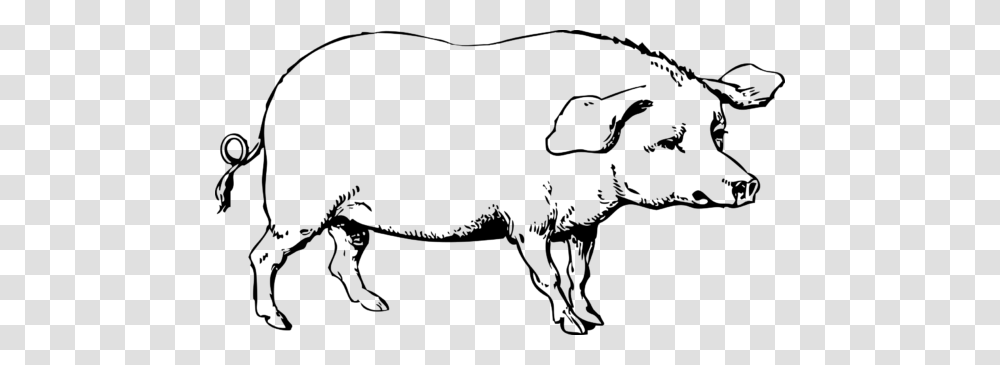 Black And White Clipart Of Pig, Gray, World Of Warcraft Transparent Png