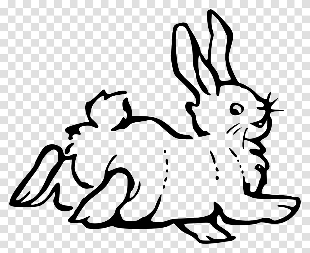 Black And White Clipart Of Rabbit, Rodent, Mammal, Animal, Hare Transparent Png