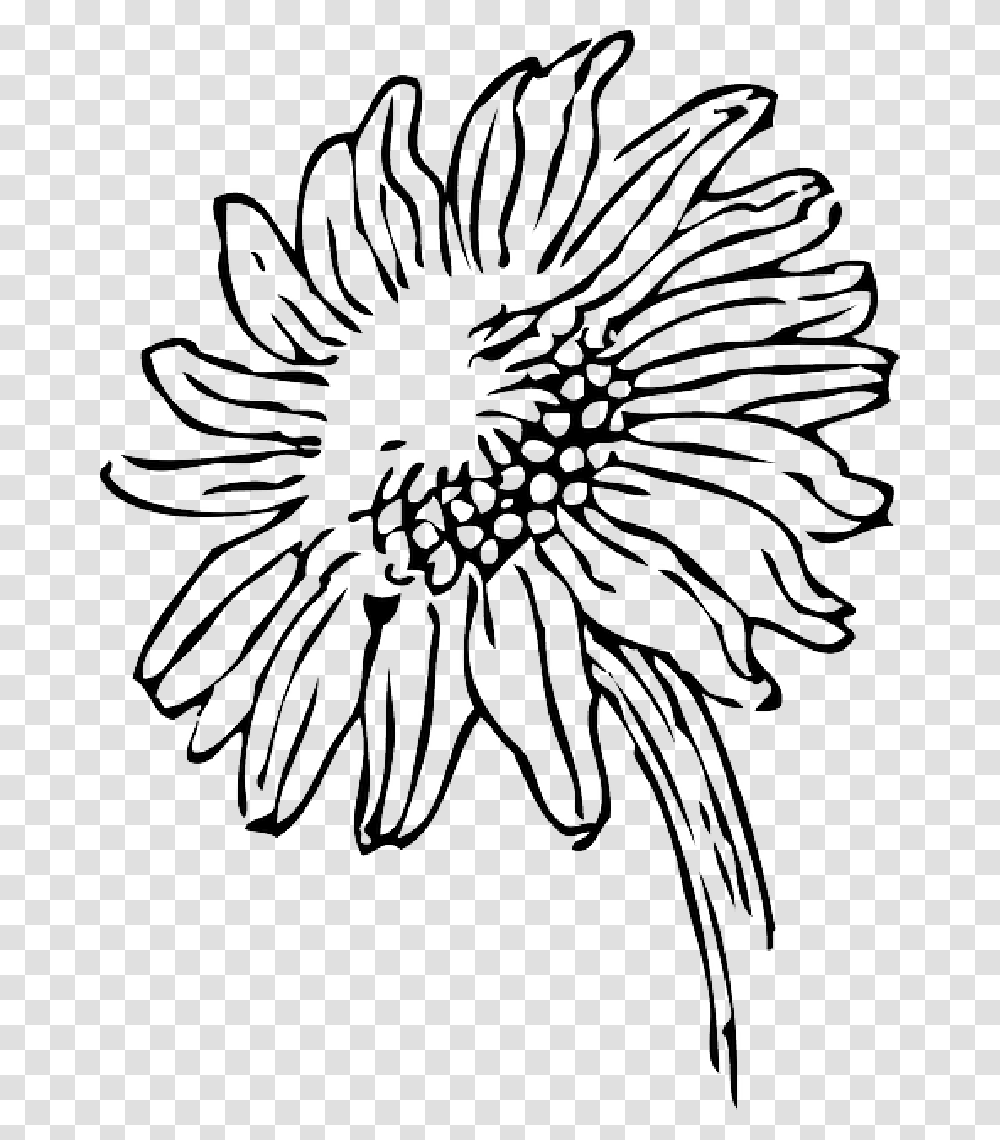 Black And White Clipart Sun Clip Black And White Sun Sunflower Clipart Black And White, Plant, Blossom, Texture, Pattern Transparent Png