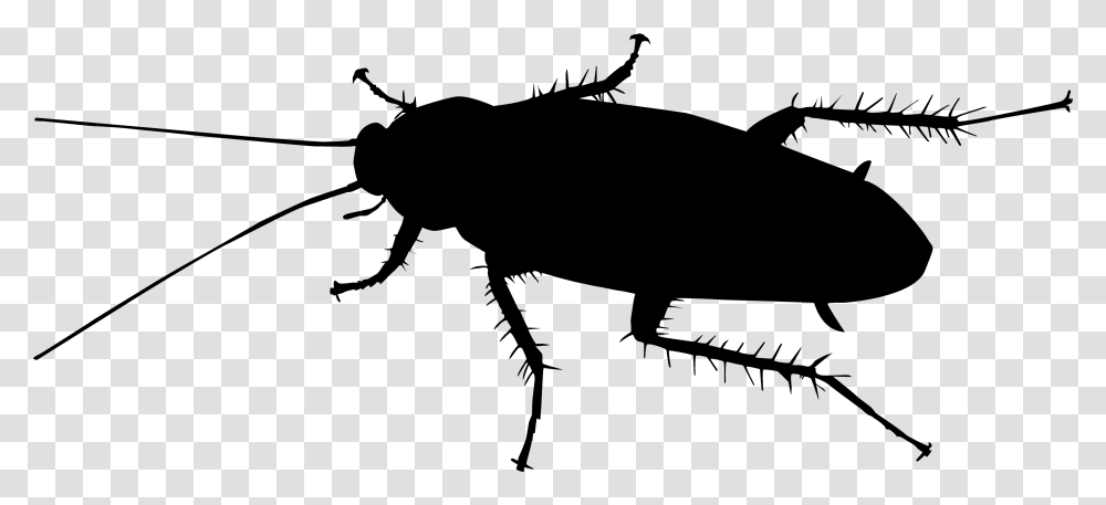 Black And White Cockroaches Download, Gray, World Of Warcraft Transparent Png
