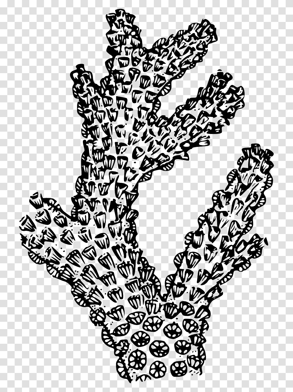 Black And White Coral, Lace, Stencil Transparent Png