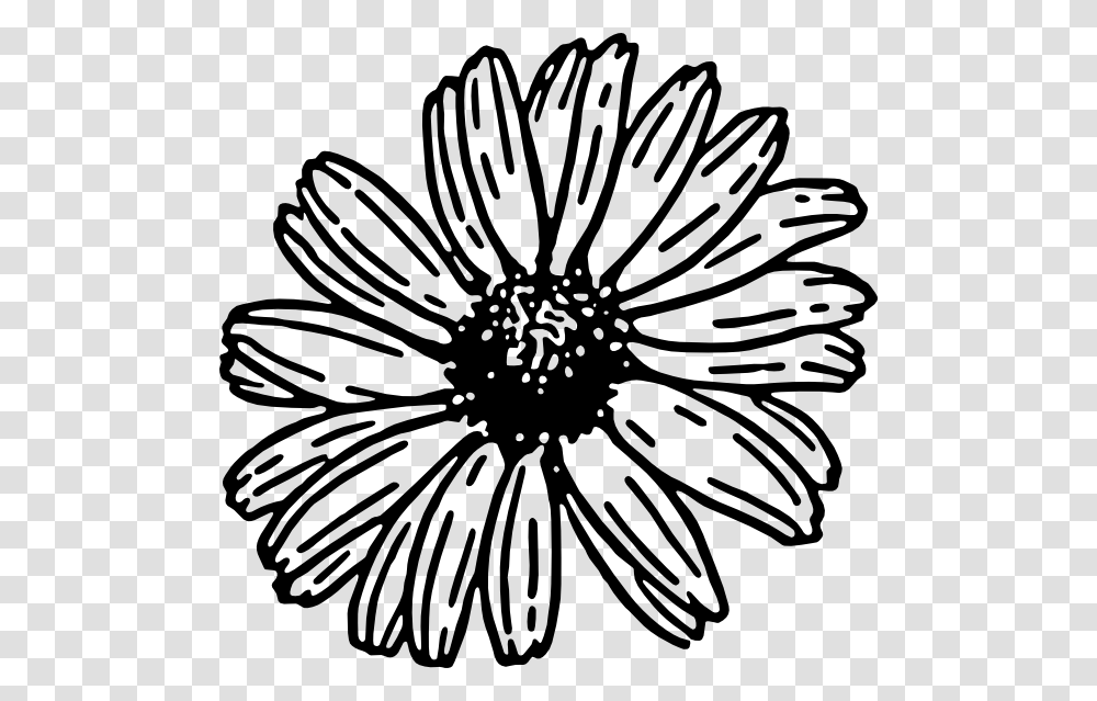 Black And White Daisy Clip Art, Plant, Label, Flower Transparent Png