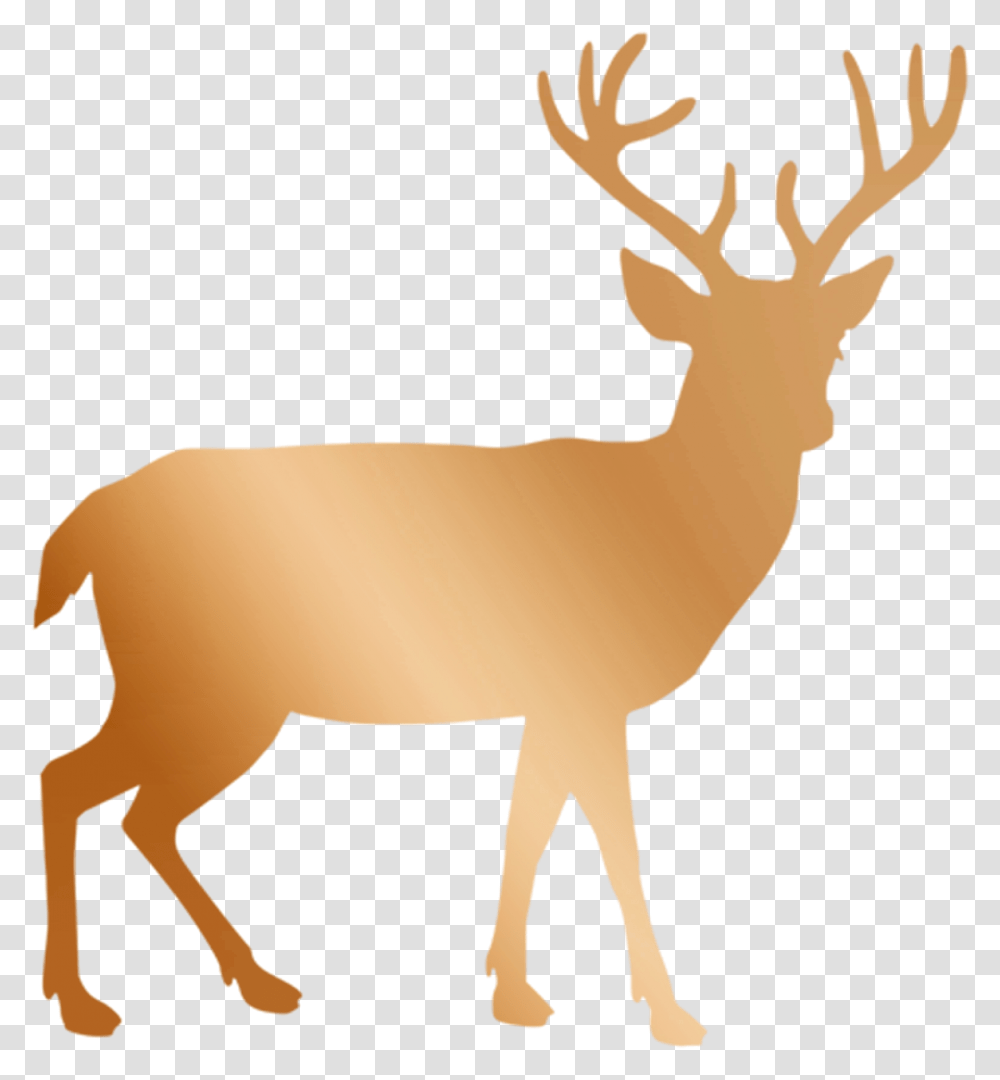 Black And White Deer Clipart, Elk, Wildlife, Mammal, Animal Transparent Png