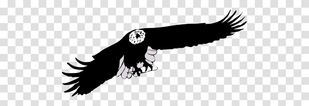 Black And White Eagle Pictures, Vulture, Bird, Animal, Condor Transparent Png