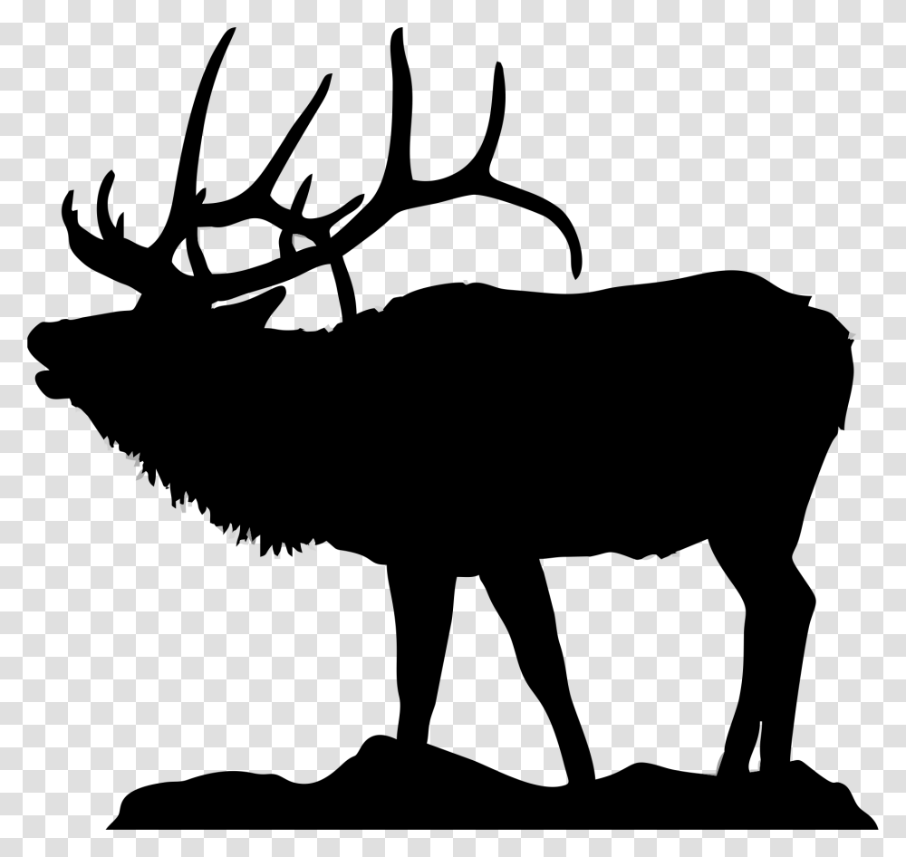 Black And White Elk, Deer, Wildlife, Mammal, Animal Transparent Png