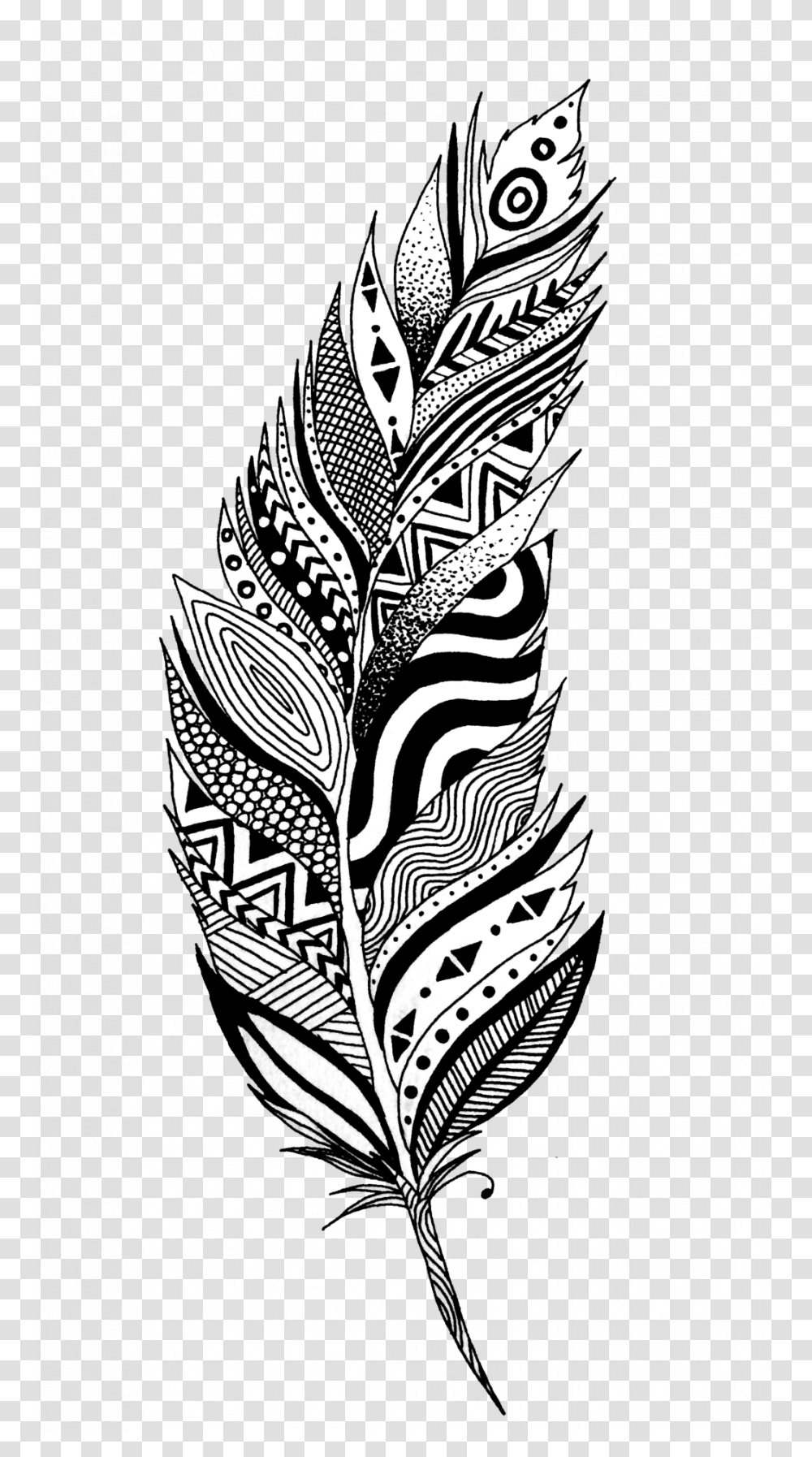 Black And White Feather Clip Art, Skin, Doodle, Drawing Transparent Png