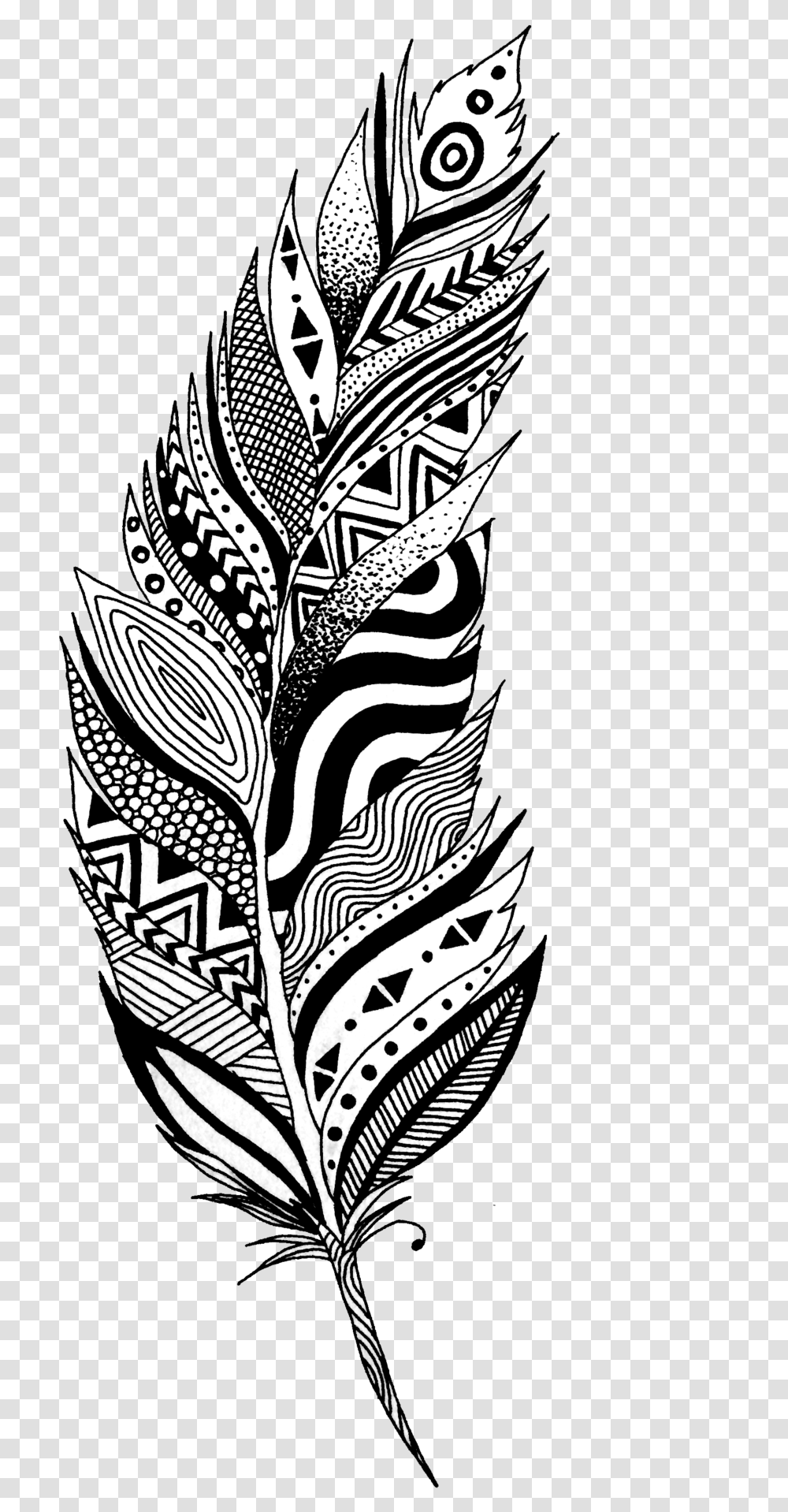 Black And White Feather, Skin, Floral Design Transparent Png