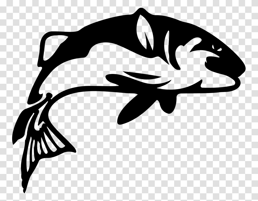 Black And White Fish Pictures Gallery Images, Gray, World Of Warcraft Transparent Png