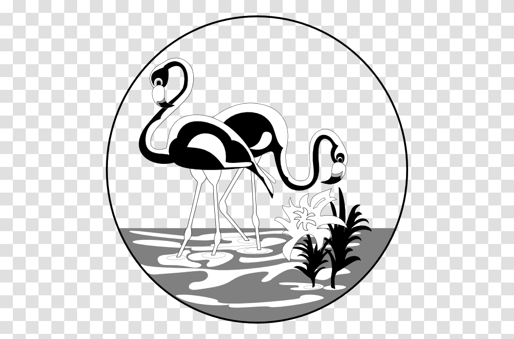 Black And White Flamingos Clip Art, Bird, Animal, Ostrich, Stencil Transparent Png