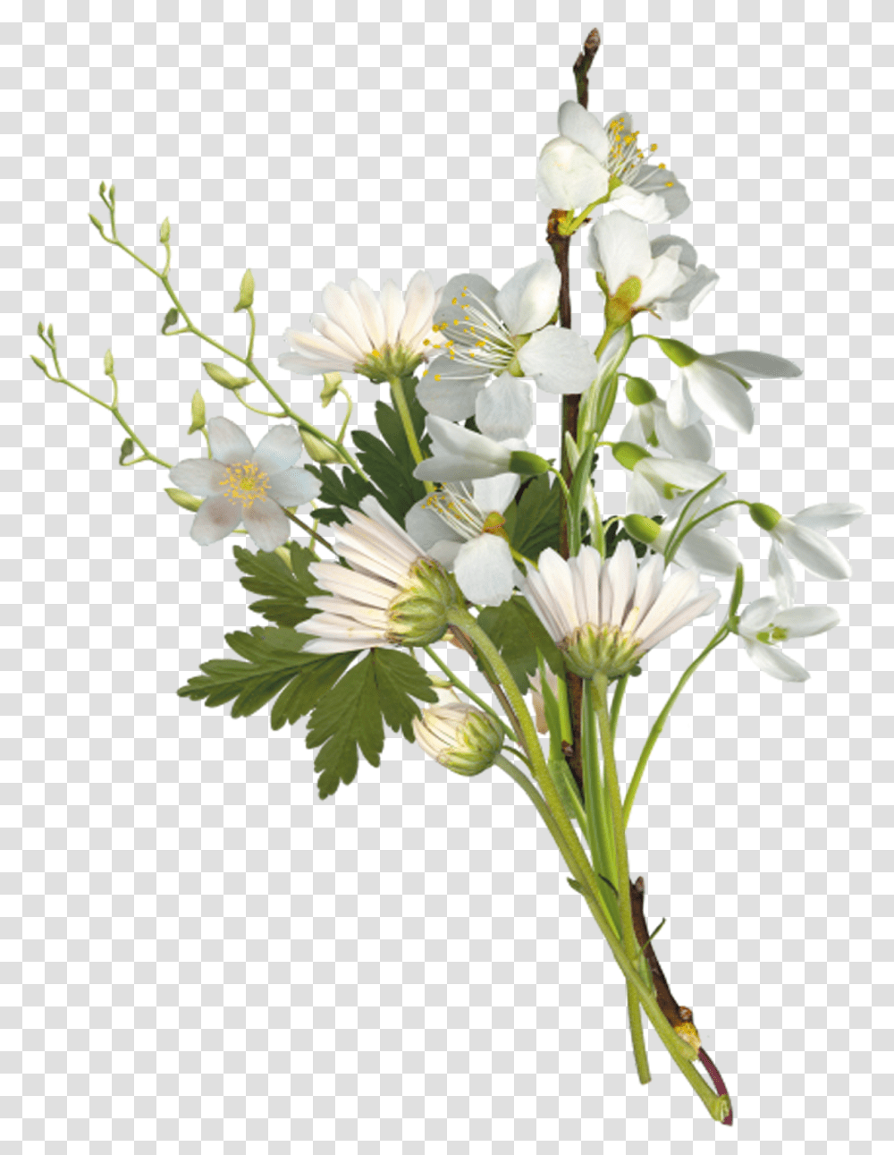 Black And White Flower Bouquet Clipart Graphic Free Small Flower Bouquet, Plant, Flower Arrangement, Amaryllidaceae, Daisy Transparent Png
